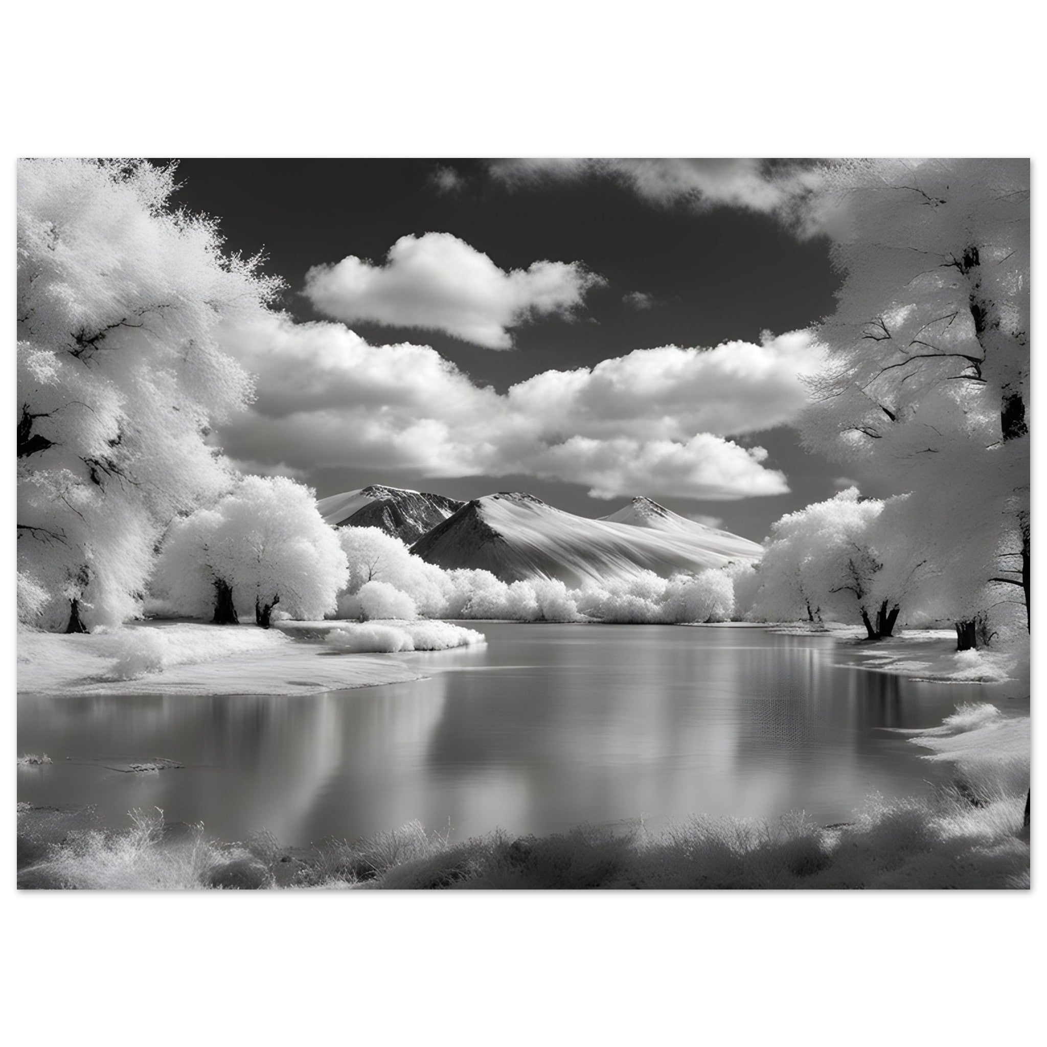 Infrared Wall Art, Reflectapix Collection, Stylish Room Decor, Kitchen Art, Artwork Prints, Collectable Art